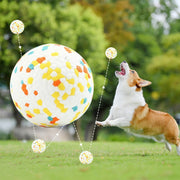 Jack Russell Ball