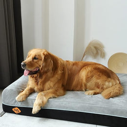 Expert Orthopedic Memory Foam Pet Bed | Arthritis & Joint Relief