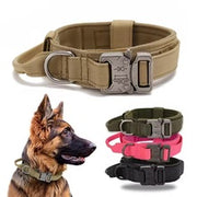 The Loyal Titan: Heavy-Duty Metal Buckle Tactical Collar