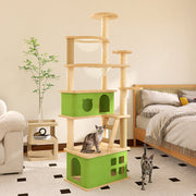 Ragdoll Cat Tree