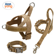 The Arctic Explorer: Escape-Proof Tactical Dog Harness