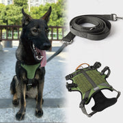GSD Harness
